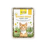 GimCat Hydro-Gras - Hierba fresca para gatos, de plantación controlada, en tan solo de 5 a 8 días - 1 bandeja (1 x 150 g)