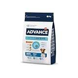 Advance Mini Adult Chicken, Pienso para Perros Adultos de Razas Pequeñas con Pollo, 3kg