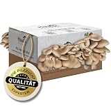Hawlik Pilzbrut - Grande cultivo setas de ostra -kit setas autocultivo para crecer a ti mismo - fácil para cosechar setas de ostra fresca - kit cultivo setas de ostra
