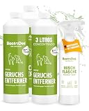 BactoDes - Eliminador de Olor Mascota 3L Concentrado con Botella mezcladora en Spray - Potente Limpiador enzimático Efecto biomicrobiano - Eliminador de Olor Mascotas para orina de Gato, Perro, etc