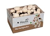 Hawlik Pilzbrut - El original – Juego de cultivo de setas champiñones blanco – Cultura para cultivar portobello uno mismo – recoge setas frescas - pequeño cultivo setas