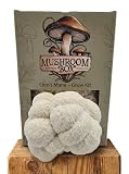 Kit de cultivo de setas Lion's Mane (Hericium erinaceus) - | Cultiva tus propias | Setas frescas | Deliciosas con salsa de soja | Suplemento de Lion's Mane | Nutrition Geeks | 1,8 KG