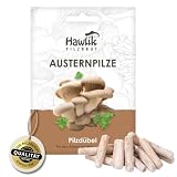 Hawlik Pilzbrut I setas de ostra para cultivar usted mismo - 20 espigas con micelios de champiñon para cultivar en madera y paja - un juego de niños para cosechar setas frescas - setas autocultivo