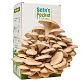 Kit Cultivo de Setas en Casa – | Cultiva Setas Gourmet en 10 Días | Incluye Pulverizador e Instrucciones | Regalo Original | Garden Pocket