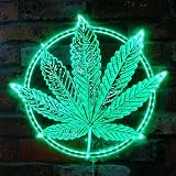 Tipos de marihuana: nombres, efectos y mejores artículos para fumadores aficionados y expertos