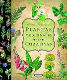 Plantas curativas para fumadores: análisis y comparativa de los mejores artículos y accesorios naturales